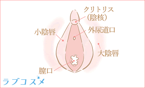 AIイラスト】セックスの体位のエロ画像を生成するプロンプト・呪文一覧(R18)