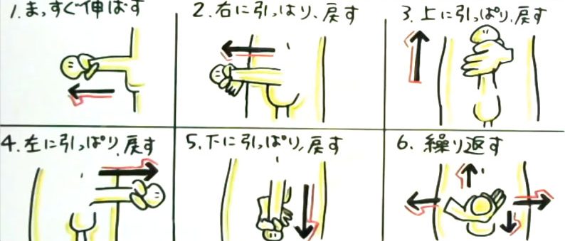 でかいちんこの基準とは？日本人平均や大きくする方法を解説 |【公式】ユナイテッドクリニック