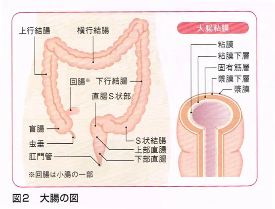 営業部セッタイ課のおしごと 案件2 ～ヤりすぎ注意！？ 吊り責め部長の結腸ご指導と反復練習～ -