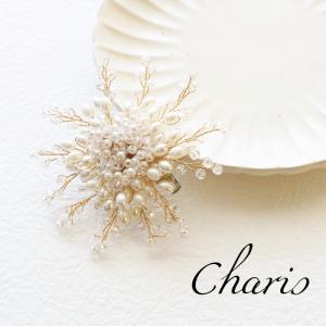 charis~カリス~[岡山市内/美容室・エクステ]