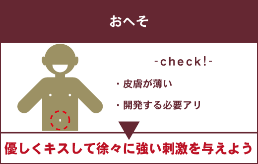 性感帯とは？女性の感じやすい場所や開発法 - 夜の保健室