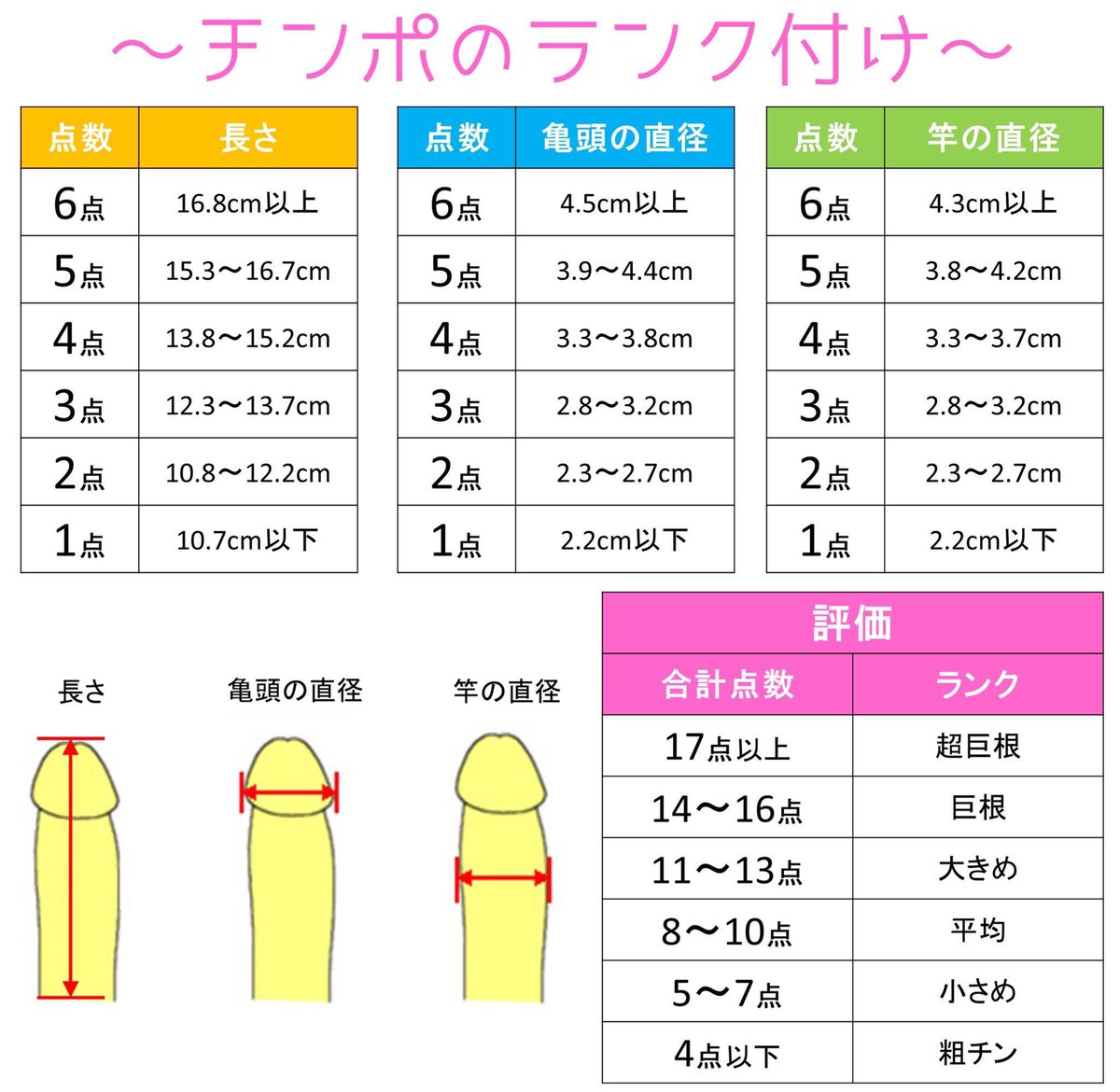 【巨根】って何センチのこと？