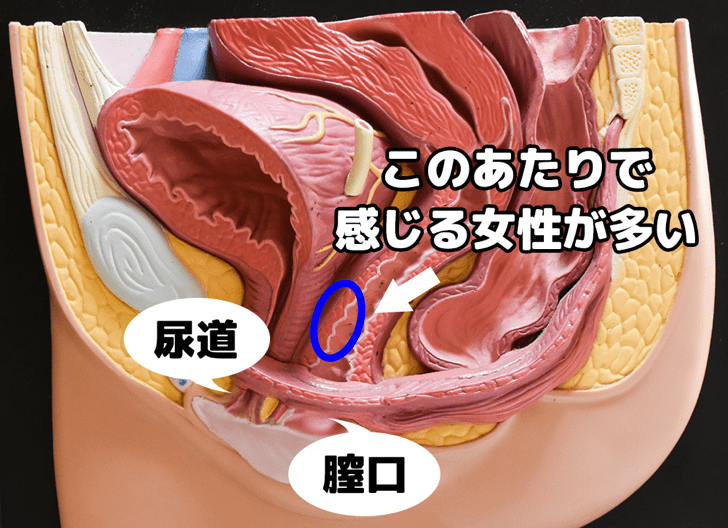 中イキと私の5日間 ～Suiさんの場合～ 未体験ユーザーの手書き日記を公開！ ｜