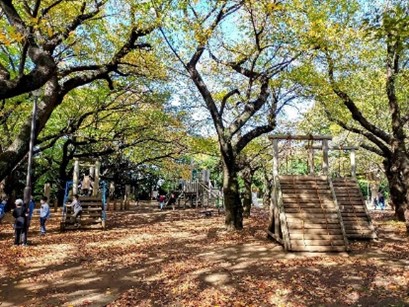 祖師谷公園｜公園へ行こう！