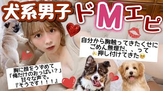 MistressLand】女王様舐犬訓練日記 #015[MLDO-045-15]: 【ホットクリップス！ 痴女・女王様・M男チャンネル】: