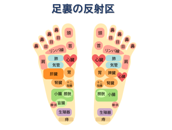 リフレクソロジーとは？種類や効果も含めて徹底解説