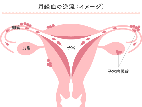 我慢汁の妊娠確率は？中出しの危険性や外だし・素股のリスクまでセックスをする注意点