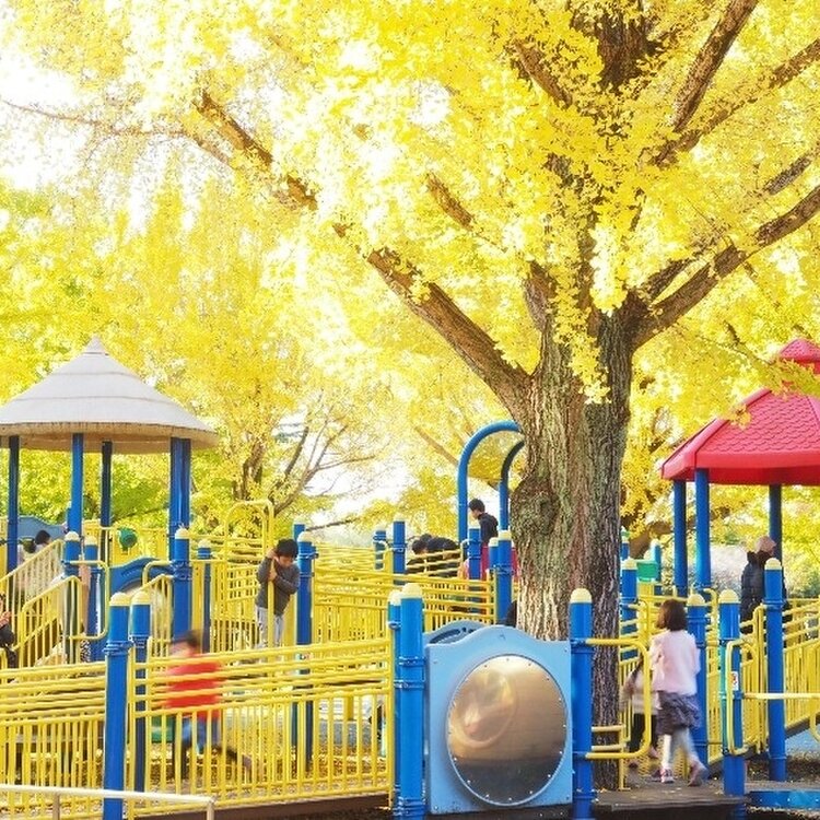 祖師谷公園 ふれあいの森（公園） |