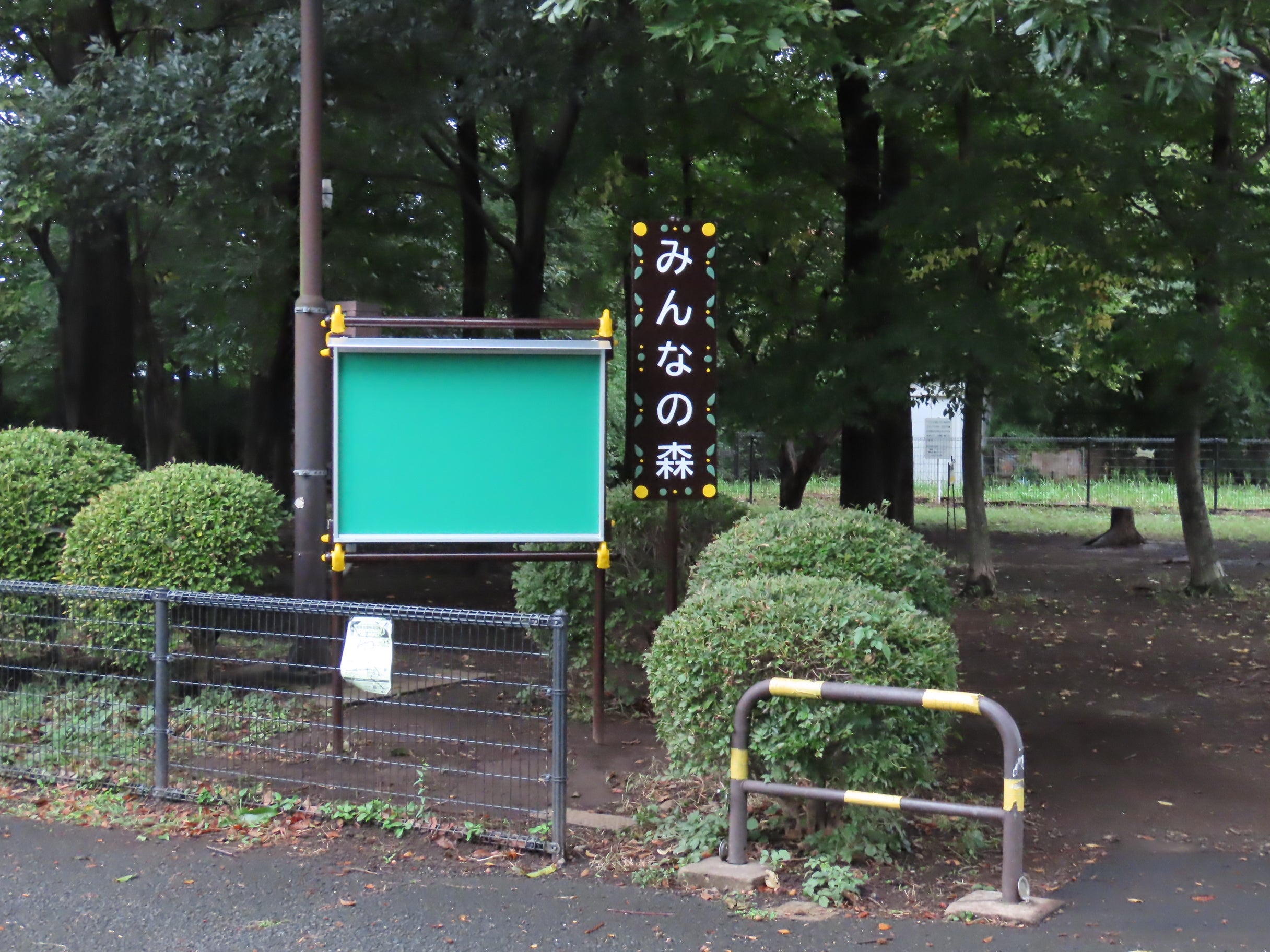 ようやく開放された みんなの森周辺 最高の紅葉日和 |