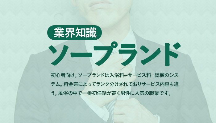 風俗嬢のスペックって？自分のスペックに合わせた稼ぎ方を解説【風俗嬢5人が回答】 | 風俗のお仕事