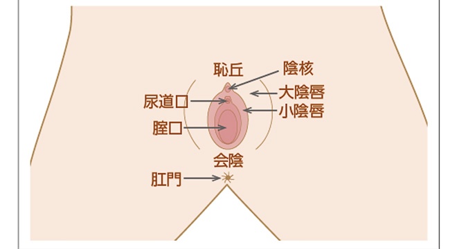 Gショット（不感症治療）の特徴と効果説明・女性医師の指名可能｜【公式】オザキクリニック（新宿・目黒祐天寺・羽村）