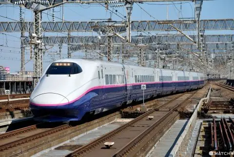 Utsunomiya Station - SNOW MONKEY