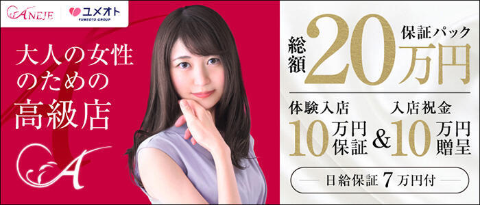 日暮里・西日暮里のクレジット利用可風俗ランキング｜駅ちか！人気ランキング