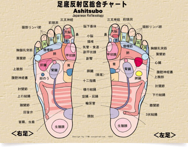 リフレクソロジーと足つぼマッサージの違いを徹底解説