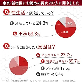 禁じられたアソビ 橋本マナミ7 [sabra net e-Book](写真集)