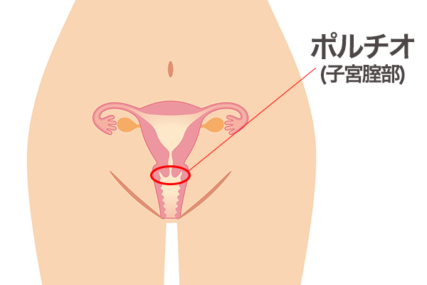 体外式ポルチオのやり方！腹イキの為の開発方法 - 夜の保健室