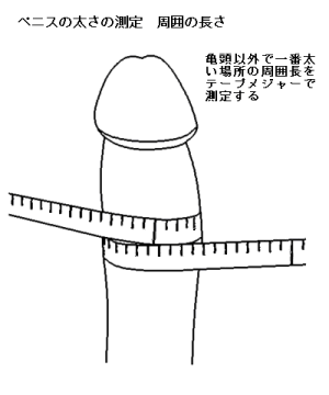 マジメに考える「男性器の誤解」～萎縮は思い込みだった！】話題呼んだ男性器の「偏差値チェッカー」  ７１％が「悩み」…女性を満足させなければならない大きな負担に苦しむ（1/2ページ）