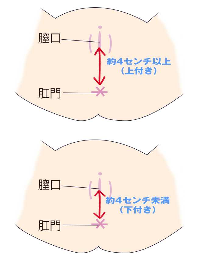 画像あり】セックスでの正しい挿入場所・膣口(穴)の位置がわかる挿入方法とは？ - sexprogress.com