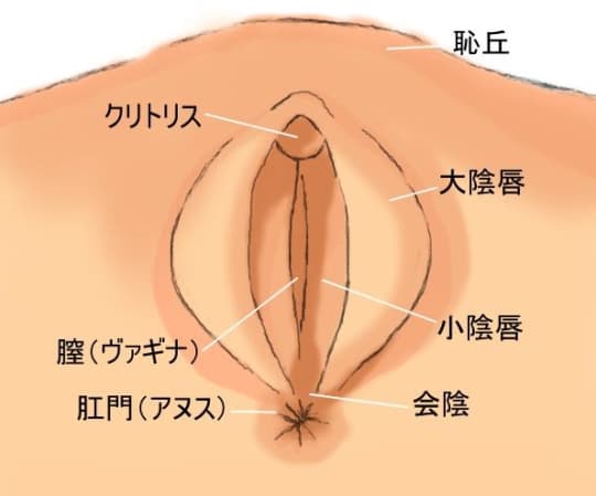 クンニリングスのやり方！上級クンニテク - 夜の保健室