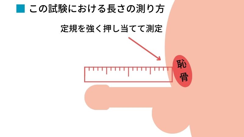 巨根サイズはどこから？】15cm以上、500円玉より太ければデカチンと言える｜あんしん通販コラム