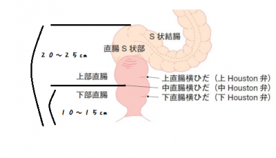 お父さんの黒歴史] わんわんお父さん3 |