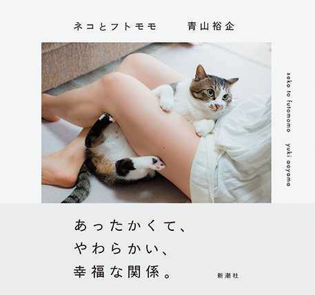 猫が柔らか～いおっぱいにじゃれつく！？ 猫×フェチのエロ写真集 | ビューティー、ファッション、エンタメ、占い…最新情報を毎日更新 |