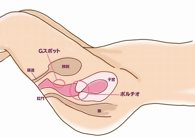 外イキ」「中イキ」「奥イキ」の違いとは - 夜の保健室