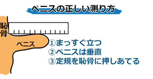 各国男士的勃起阴茎平均长度，韩国男士竟然最….?18+ | 無極-無窮、無盡、無限。