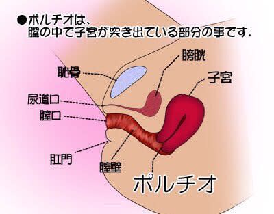 ボルチモア ポルチオH本 | 同人の森 |