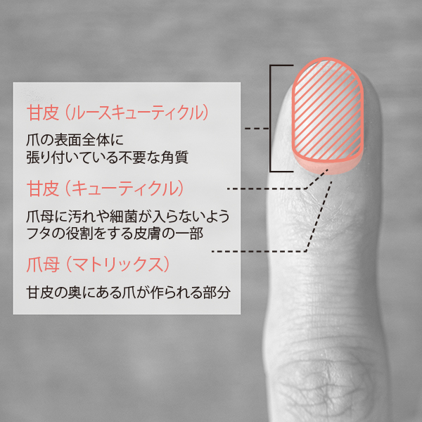 今すぐできる！甘皮処理のやり方｜家にあるものでできる方法＆専門道具を使った方法の2パターンを紹介 | LIPS