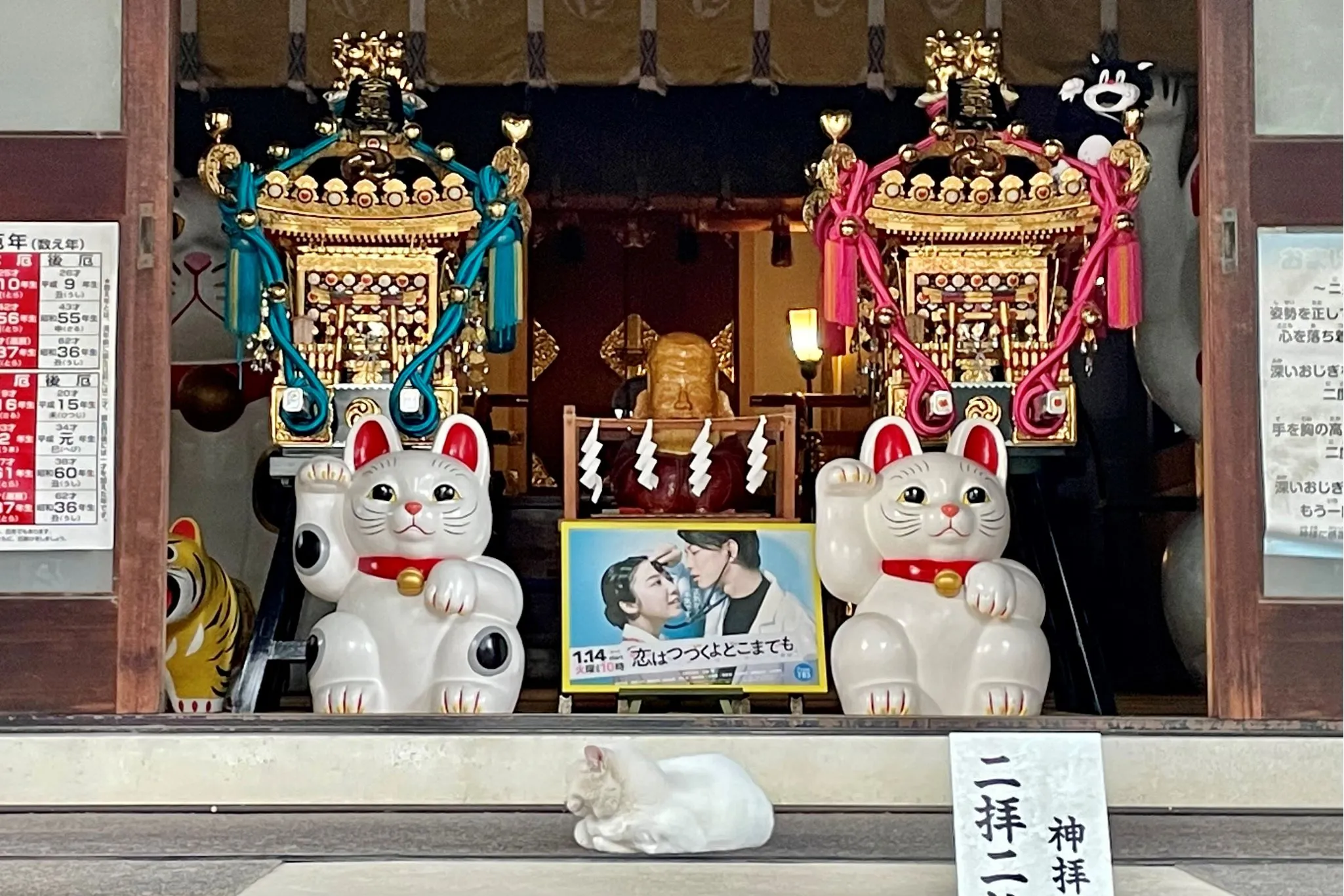 9/29は招き猫の日🐱】おみくじも御守りも招き猫！奥浅草にある縁結びの神社｜東京•浅草 | maru｜東京ひとり散歩の投稿動画 |