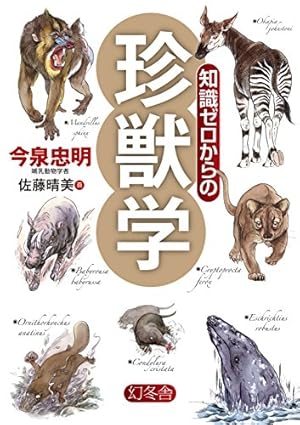 秋の動物園（３）タヌキ - カエサルの世界