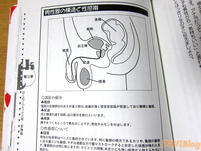 女性の脚ピン（足ピン）オナニーについて - TENGAヘルスケア プロダクトサイト