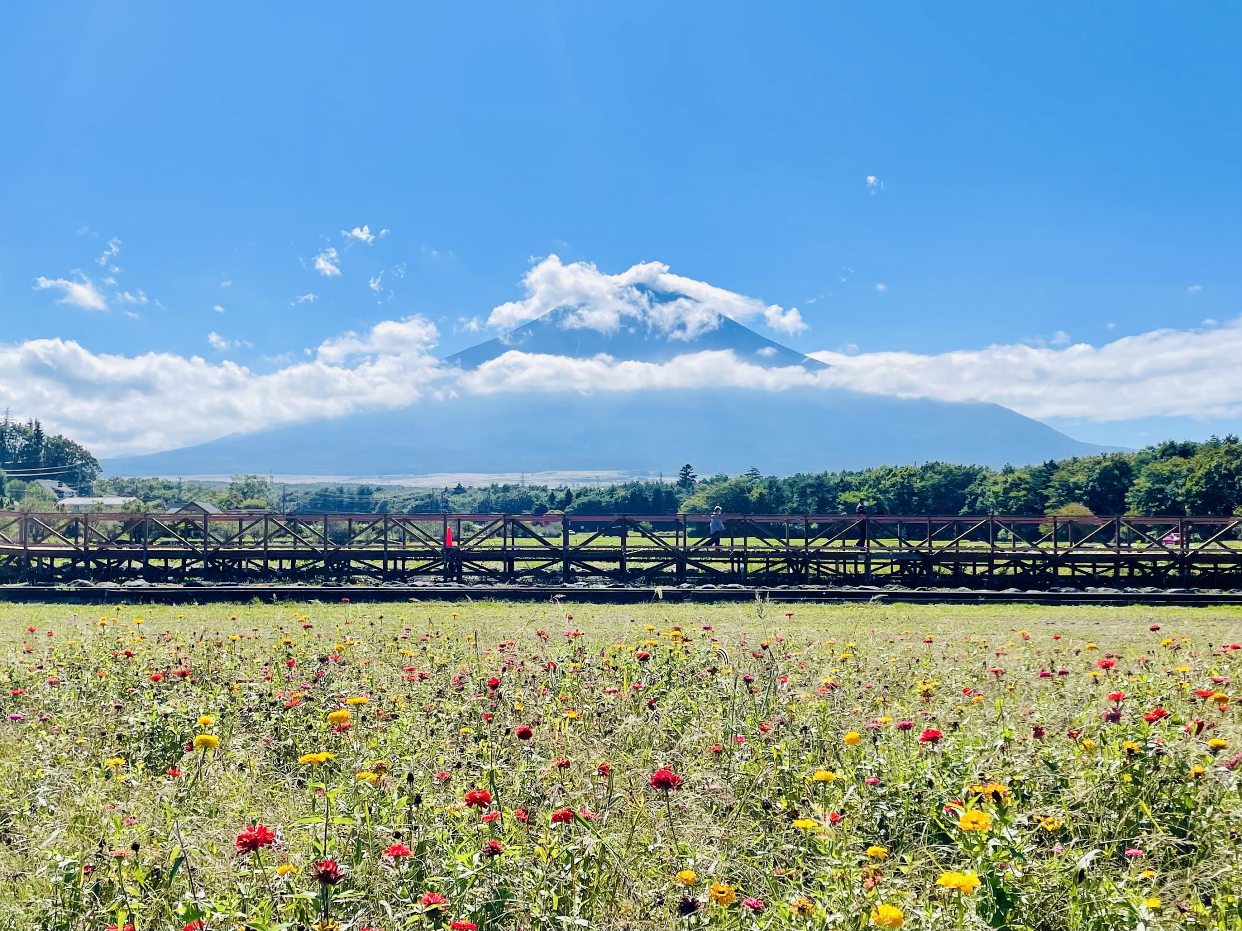 ハッピーホテル｜福島県 本宮駅のラブホ ラブホテル一覧