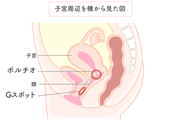 Gスポットはどこ？場所と上手に刺激する触り方解説 - 東京裏スポ体験記