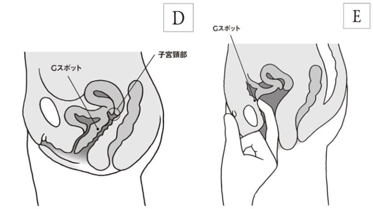 女性が感じる仕組みとは？オーガズムとスキーン腺の関係について解説 | コラム一覧｜