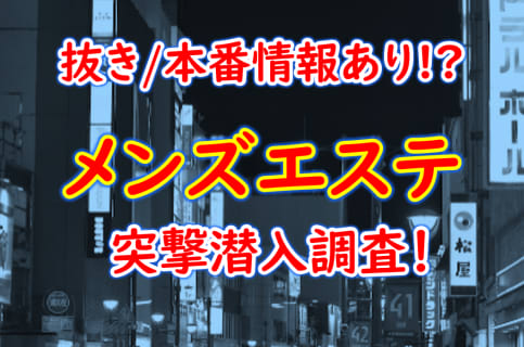 ANAICHI (アナイチ)】で抜きや本番ができるのか？東京のメンズエステ店を徹底調査！ - メンエス狂の独り言