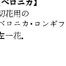 アニメ名探偵コナン新エンディング映像「ベロニカ」を徹底考察‼︎若狭留美と羽田浩司の関係は…【名探偵コナン考察】 - YouTube